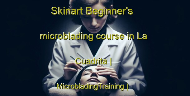 Skinart Beginner's microblading course in La Cuadrita | MicrobladingTraining | MicrobladingClasses | SkinartTraining-Mexico
